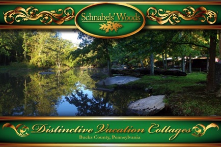 Summer Tohickon Stream